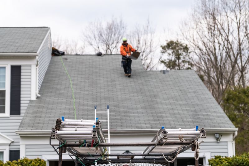 Summer Roofing Activity